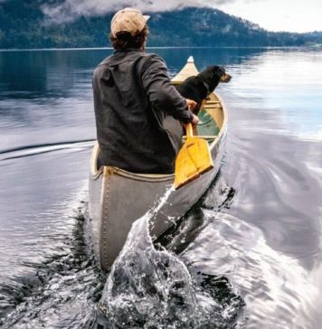 All the Little Ways Having a Pet Benefits Your Health