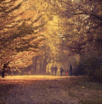 Family-Friendly Fall Activities