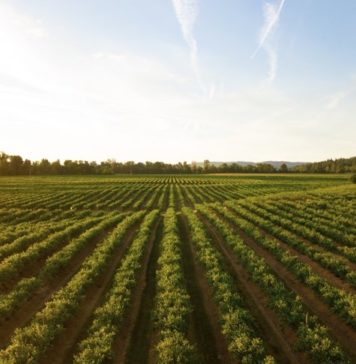 COVID-19 and Canada’s Food System