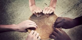 The Micronutrient Initiative