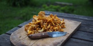 Is It Possible To Boost Immunity?