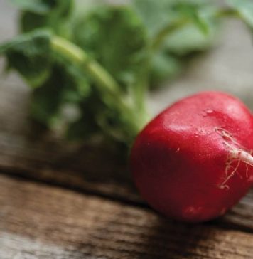 Make Now, Salad Later