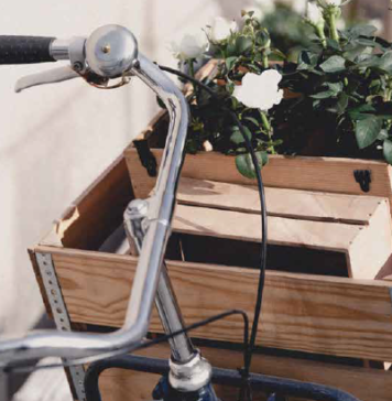 Recovery For People and The Planet