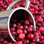 5_cranberries_shutterstock_1927682966.jpg