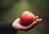 Saving Our Food From Extinction
