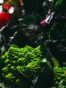 6 Tips for Vegan Meal-Planning Like a Pro