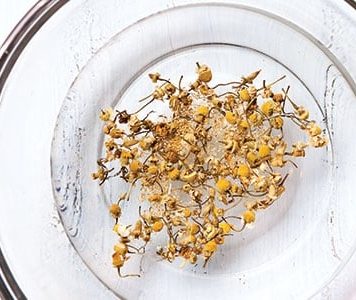 The Healing Power of Steam