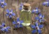 Borage Oil: The Inflammation-Fighting Superstar