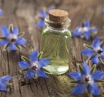 Borage Oil: The Inflammation-Fighting Superstar