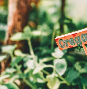 The Cold, The Flu, and The Gut