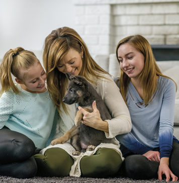 How to Welcome a New Puppy to the Family