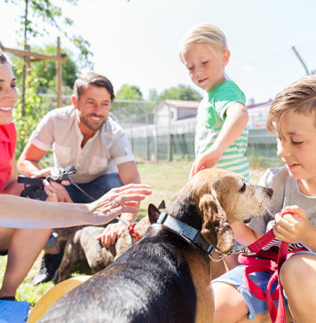 3 Ways Pet Adoption Can Be a Win for All