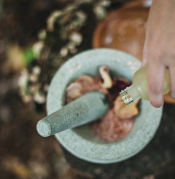 Skin Goals: 5 Natural Ingredients to Look Out For