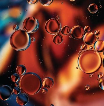 Hempseed Oil vs CBD Oil