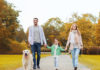 4 Tips to Keep Pets Out of Trouble During Back-to-School Season