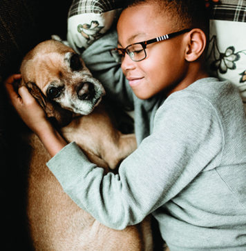 Welcome a 4-Legged Family Member with Care