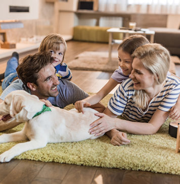 5 Tips for Bringing a New Pet Home