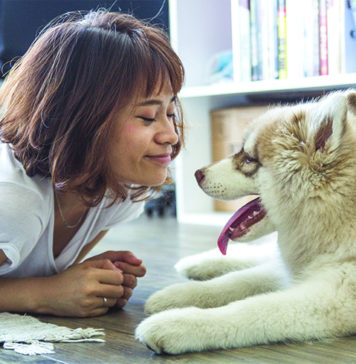 How to Find the Right Dog for Your Family