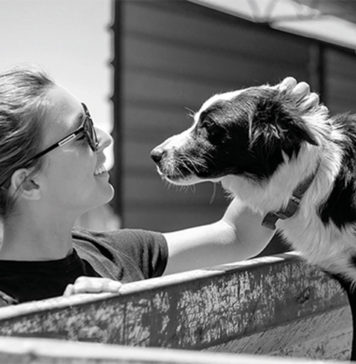 3 Tips to Support Your Pet\’s Immune System