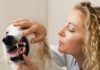 Make Sense of Doggy Dental Care
