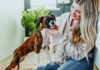 Make Nutrition a Priority for Your Pet