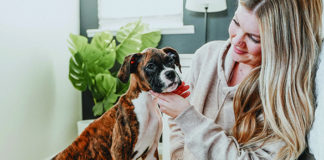 Make Nutrition a Priority for Your Pet