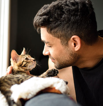 Expert Tips for Welcoming a Kitten
