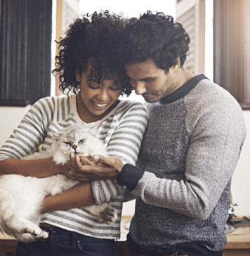 Get the Dish on Proper Nutrition for New Pets