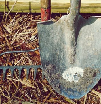 Essential Gardening Tools