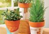 DIY Decor with Creative Containers