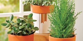 DIY Decor with Creative Containers