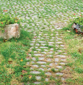 9 Troublesome Weed Zones to Tackle