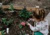 7 Frugal Gardening Tips and Tricks