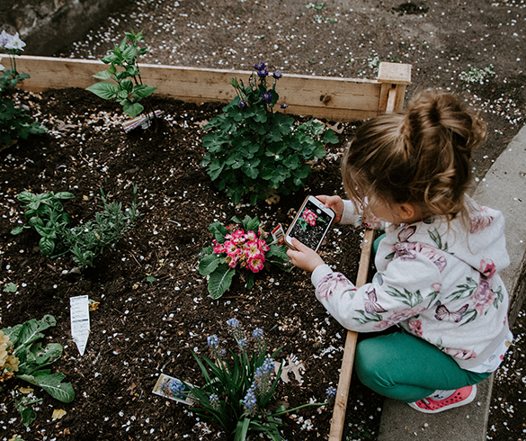 7 Frugal Gardening Tips and Tricks - 15612