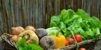 10 Easy Vegetables to Grow in Your Garden