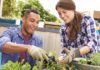 10 Tips for Urban Gardening