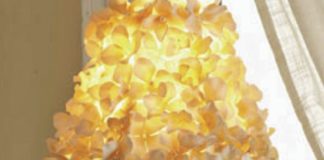 Create Budding Home Updates