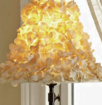 Create Budding Home Updates