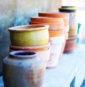 Gardening With Charlie – Great Homemade Garden Gifts