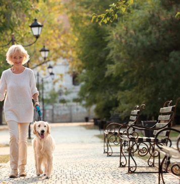 3 Ways Pups Can Improve Seniors\’ Health