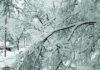 Prepare Your Family for Winter Weather