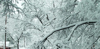 Prepare Your Family for Winter Weather