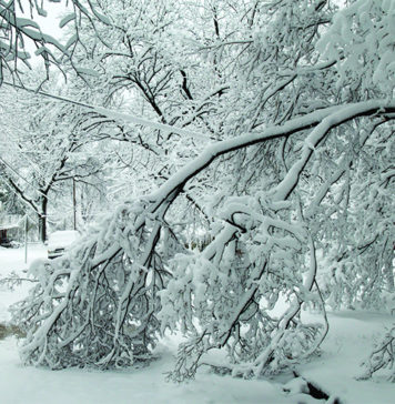 Prepare Your Family for Winter Weather