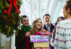 Spruce Up Your Guestroom for the Holidays